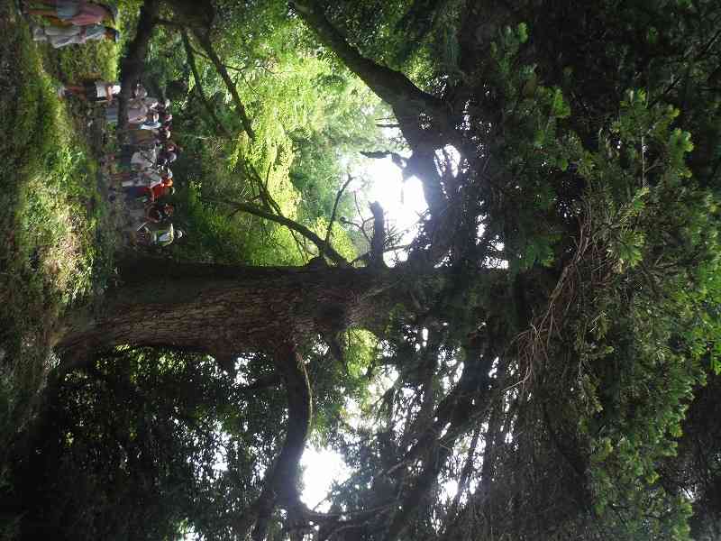 DSCF7604