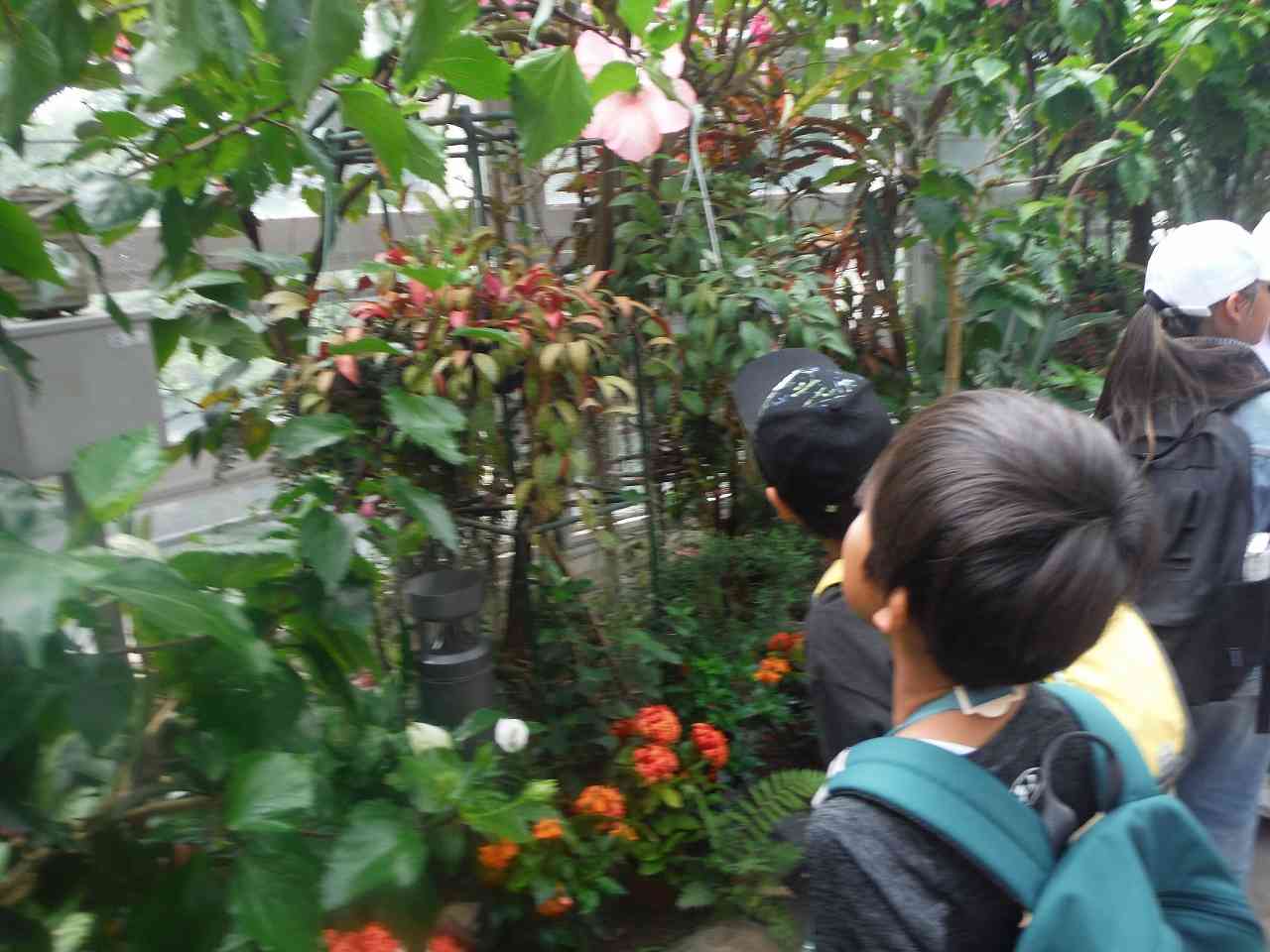 校外学習③