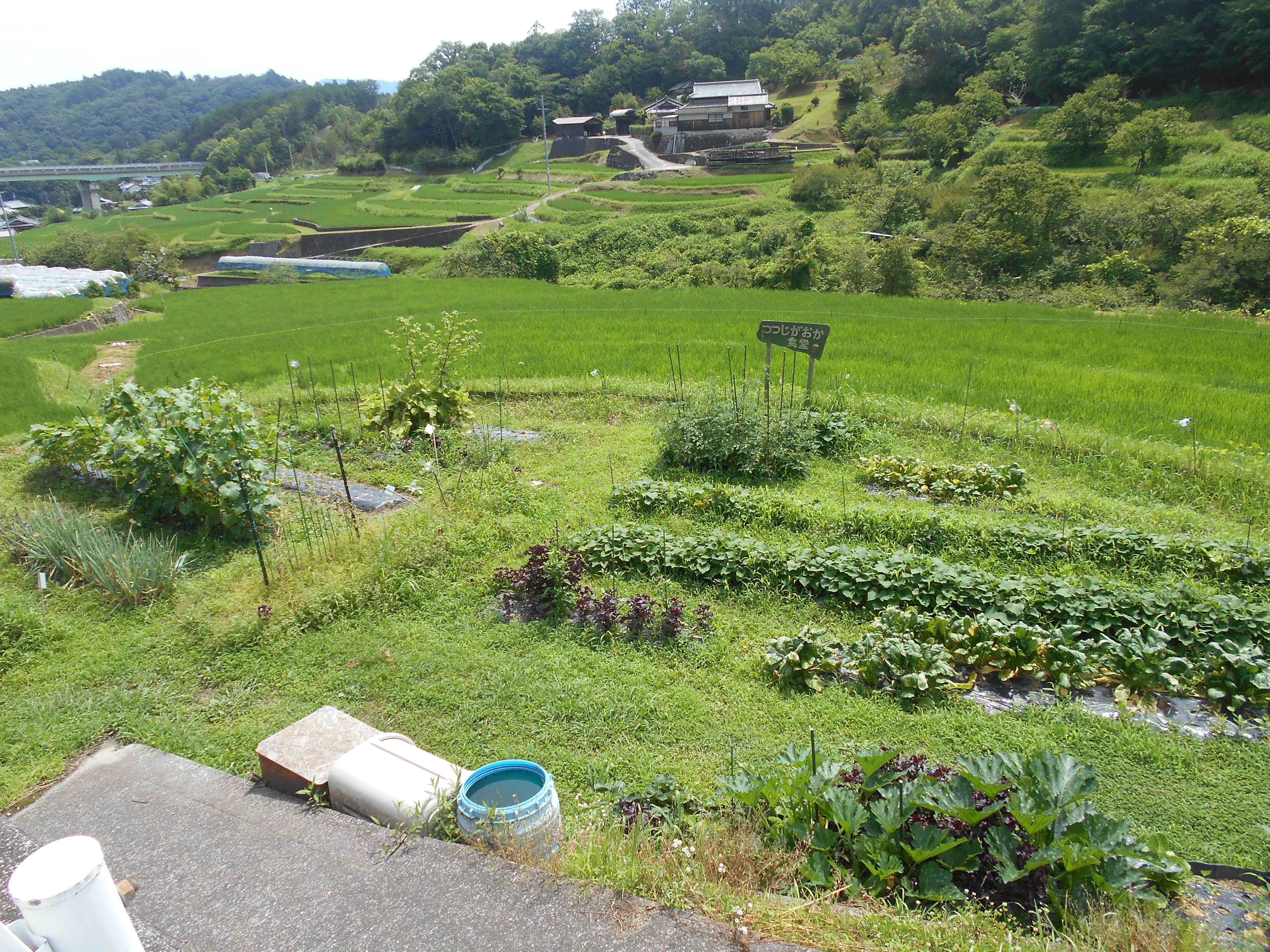 DSCN3248