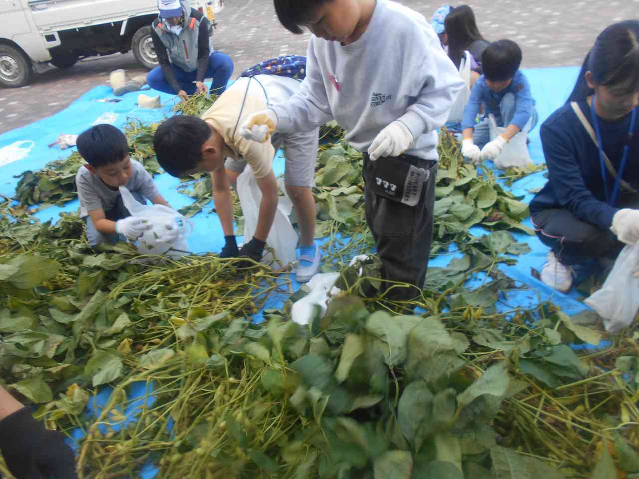 DSCN3423